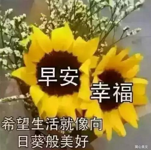 超级温柔的句子