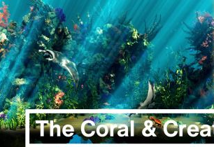 【Blender插件】Blender海洋珊瑚动植物模型预设 The Coral &amp; Creatures Collection V1.0