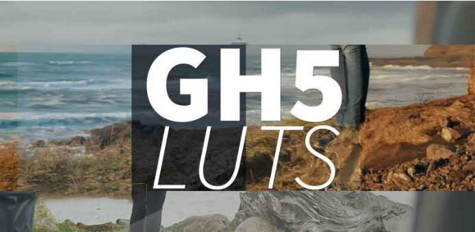 PS/AE/FCPX/达芬奇LUTs调色预设Neumann Films Gh5 Luts