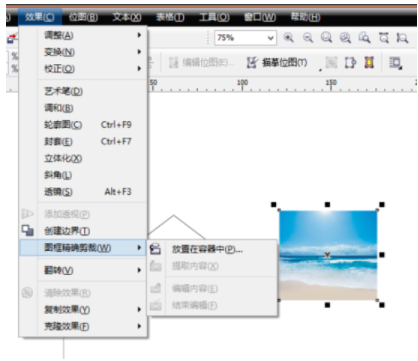CorelDRAW 2021官方简体中文正版