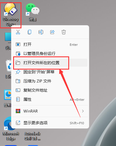 Directory Opus Pro 12.31文件管理工具中文破解版安装图文教程