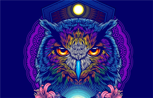 CorelDRAW 2021官方免费版