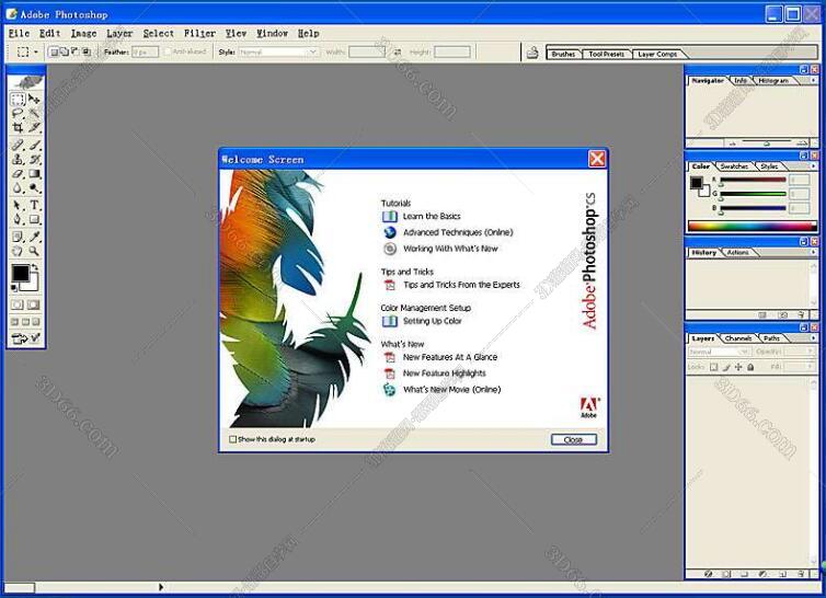 PhotoShop8.0【Adobe Photoshop 8.0】（PS8）官方简体中文破解版