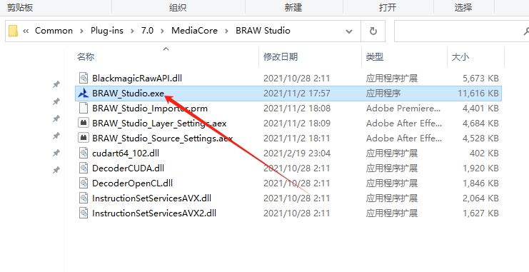 AE/PR/AME插件：Blackmagic RAW格式视频素材直接导入AE/PR/AME编辑 BRAW Studio v2.6.1安装图文教程