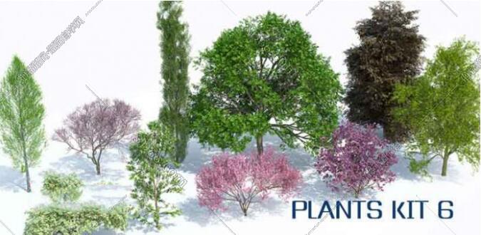 SketchUp草图大师植物树木生成插件:Laubwerk Plants Kit 6 SketchUp草图大师植物树木生成插件:Laubwerk Plants Kit 6