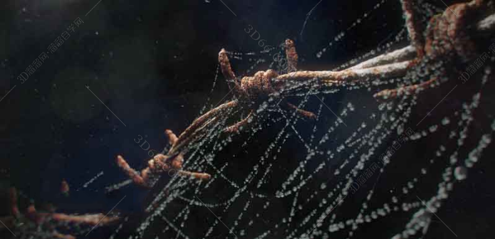 3dmax插件蜘蛛丝Cobwebs for 3dmax 2009-2016