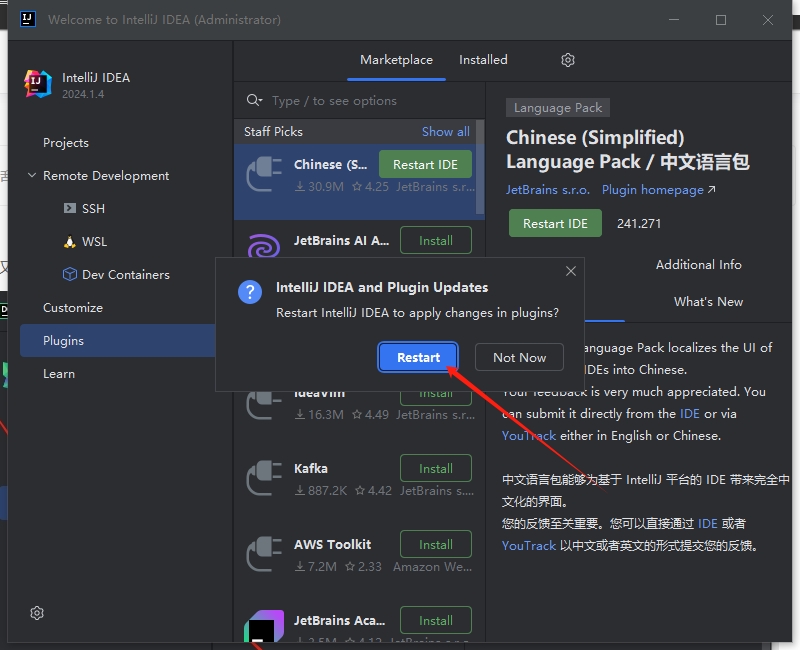 IntelliJ IDEA 2024.1.4（永久激活）最新破解版安装图文教程