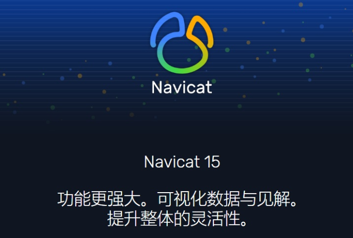 Navicat Premium15官方中文版