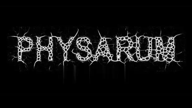 AE模拟有机生物绒泡菌霉变增长动画插件：Physarum v1.1 中文版免费下载