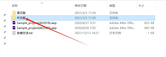 AE模拟有机生物绒泡菌霉变增长动画插件：Physarum v1.1 中文版免费下载安装图文教程