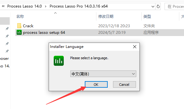 Process Lasso 14.0【免费下载】完整破解版安装图文教程