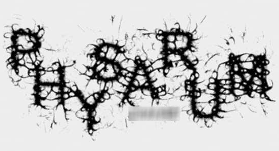 AE模拟有机生物绒泡菌霉变增长动画插件:Physarum v1.1 中文版免费下载 AE模拟有机生物绒泡菌霉变增长动画插件:Physarum v1.1 中文版免费下载