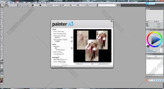Corel Painter X3【Painter X3中文版】中文破解版安装图文教程