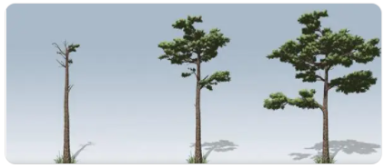 SpeedTree 7.0 完美破解版