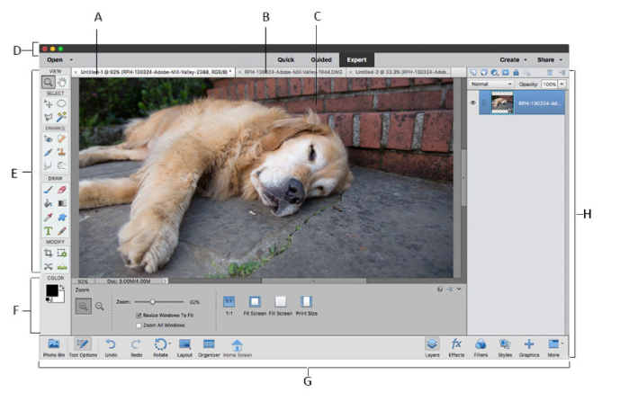 photoshop elements 2022绿色中文版