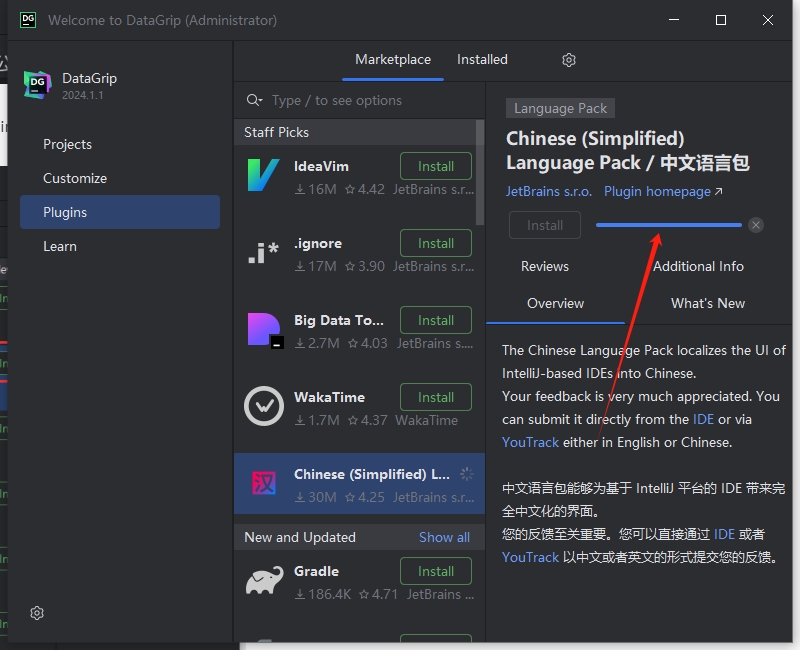 JetBrains DataGrip v2024 简体中文完整完美版安装图文教程