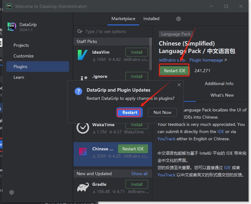 JetBrains DataGrip v2024 简体中文完整完美版安装图文教程