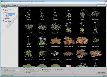 3DsMax树木插件：ForestPack Pro v6.2.1 For 2018-2020免费版